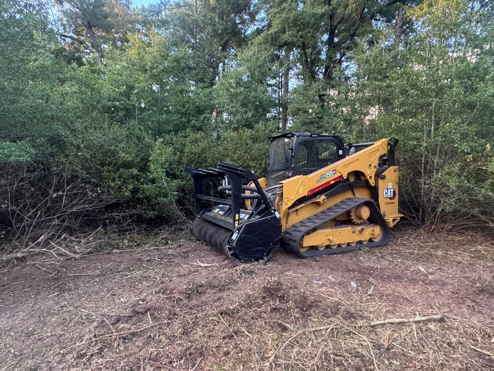 Forestry mulcher clearing brush on a Gulf Coast property
